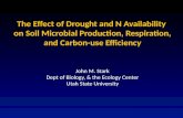 The Effect of Drought and N Availability on Soil Microbial Production, Respiration, and Carbon-use Efficiency