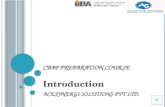IIBA Cbap  Certification Prep Course Acesynergi