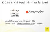 H2O World - H2O Rains with Databricks Cloud
