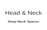 Diagnostic Imaging of Deep Neck Spaces