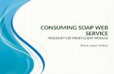 MuleSoft Consuming Soap Web Service - CXF Proxy-Client Module
