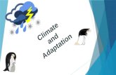 Climate and adaptation