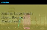 Small vs. Large Brands: How to Become a Market Leader