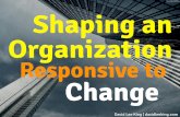 Shaping an Organization Responsive to Change