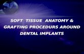 Soft tissue grafting around implants