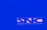 Estruturação, Institucionalização e Implementação do SNC ...