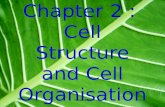 Chap 2 cell structure and cell organisation