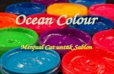 Toko Ocean Colour