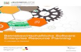 Betriebswirtschaftliche Software Enterprise Resource Planning