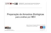 Preparação de Amostras Biológicas para análise por MEV
