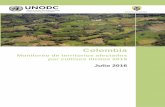 Monitoreo de territorios afectados por cultivos ilícitos 2015 Julio 2016