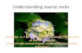 Understanding source rocks