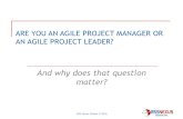 Are you an Agile Project Manager or an Agile Project Leader?