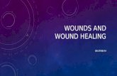Wound and wound healing