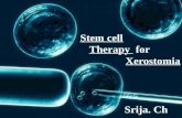 Stem cell therapy for xerostomia