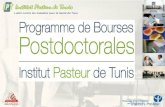 Le projet de "programme de bourses postdoctorales" de l'Institut Pasteur de Tunis