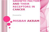 Fibroblast growth factors