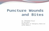 Puncture wounds and bites