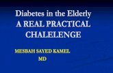 Ueda2016 workshop - diabetes in the elderly  - mesbah kamel