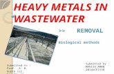 heavy metals removal from sewage