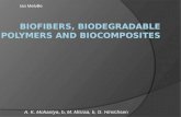 Biofibres, biodegradable polymers and biocomposites