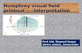 Visual field analysis--interpretation