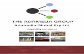 Adamelia Global Capability Statement