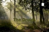The druids