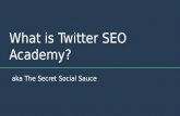 What is Twitter SEO Academy?