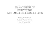 MANAGEMENT OF EARLY STAGE NON SMALL CELL LUNG CARCINOMA