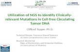 Utilization of NGS to Identify Clinically-Relevant Mutations in cfDNA: Meet the NGS Experts Series Part 3
