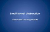 Small bowel obstruction cases - Julie Cornish