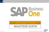SAP business one - master data 2016