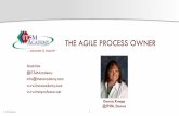 The Agile Process Owner an ITSM Academy Webinar