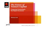 Future of Venture Capital 2016 - PwC Presentation