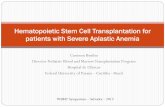 HCT for Severe Aplastic Anemia