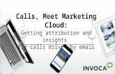 Calls, Meet Marketing Cloud