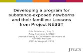 Developing a program for substance-exposed newborns and their ...