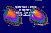 Technetium (99mTc) sestamibi & Technetium (99mTc) tetrofosmin