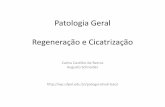 Patologia Geral Regeneração e Cicatrização - UFPel