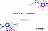 Brain health ms trust meeting Windsor 2016