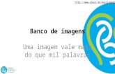 Banco de Imagens e Videos