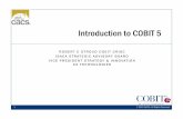 Introduction to COBIT 5