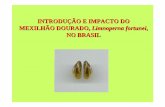 Introdução e impacto do mexilhão-dourado, Limnoperna fortunei, no ...