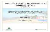 RELATÓRIO DE IMPACTO AMBIENTAL - RIMA -