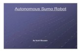Autonomous Sumo Robot