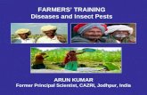 Farmers' Training- Insect Pest and  Crop Diseases