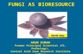 Fungi as Bioresource