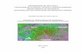 Dinâmicas territoriais em Rondônia: conflitos na produção e uso do ...