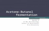 Acetone and butanol fermentation